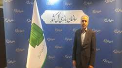 جشنواره شفافیت، دستگاه‌ها را در یک اتاق شیشه‌ای قرار داد